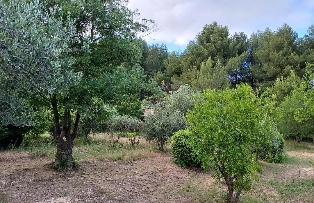 Magnifique Cabanon face au Garlaban à Aubagne-1